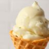 Frozen Vanilla Custard