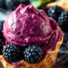 No-Churn Blackberry Ice Cream